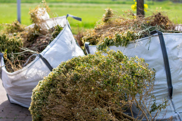 Reliable Honaker, VA Junk Removal Solutions